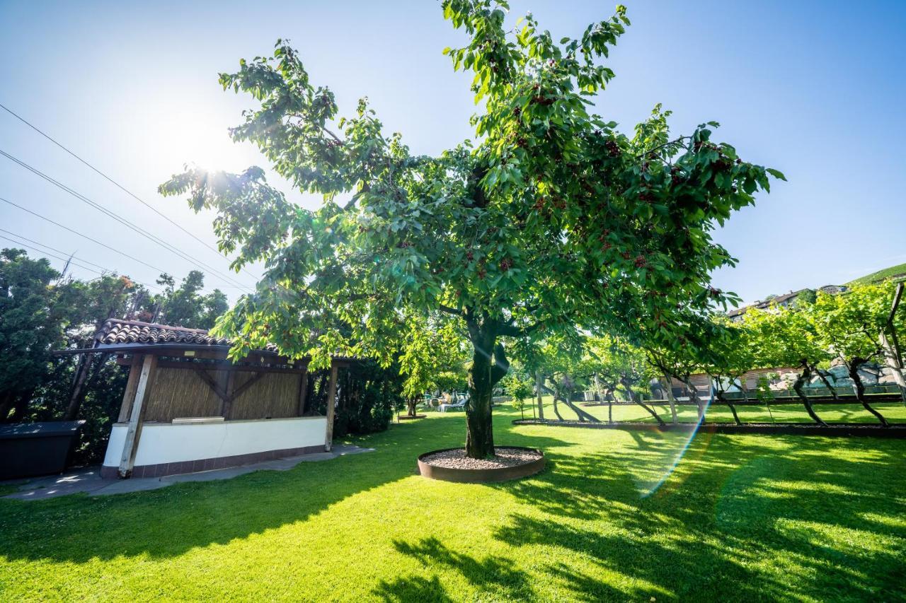 Hotel Frangart An Der Weinstrasse Appiano Sulla Strada Del Vino Exterior foto